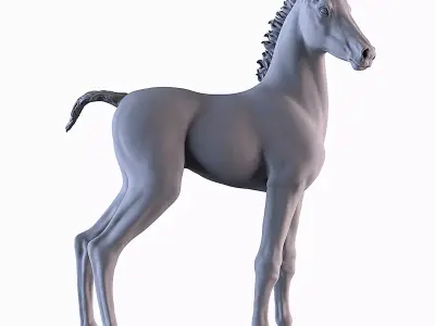 Horse Foal 3D print model