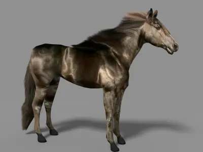 Black Stallion Low-poly 3D model