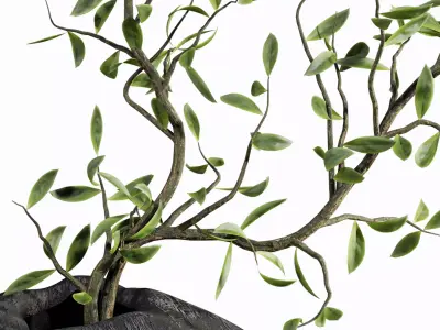 bouquet 3D model 14