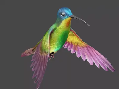 The Flying Hummingbird  3D model