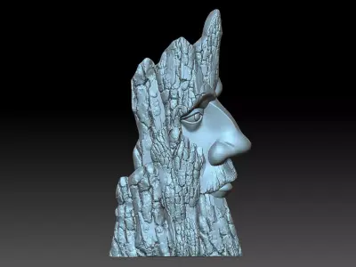 Wood face 3D print model