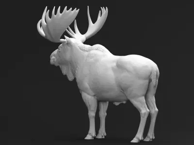 Bull Moose 01 3D print model