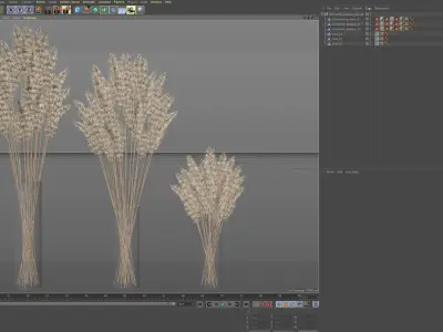 Decorative Pampas 3D model