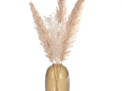 dried flowers set - pampas 3D model