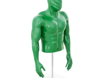 Fitness mannequin torso 169 3D model