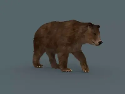 Best Bear - 3D animated Brown Bear 3D model