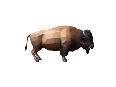 European American Wild Bison Buffalo High Render 3D model
