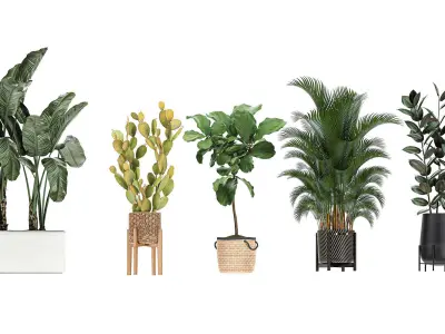 Collection of potted plants for the interior of 20 pieces set 2 3D model
