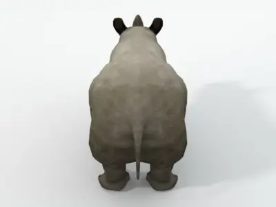 Rhino rhinoceros Low-poly 3D model