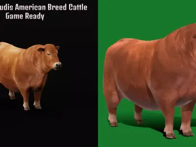 Santa Gertrudis American Cattle Low-poly 3D model