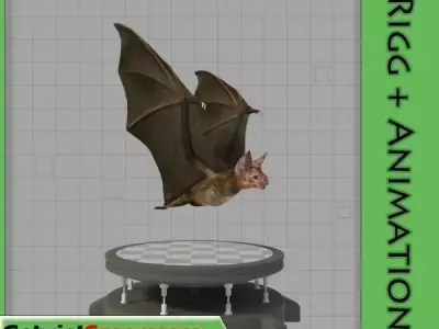 Vampire Bat Low-poly 3D model