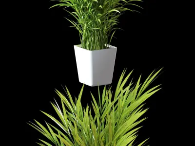 Palm tree in pot 3D model