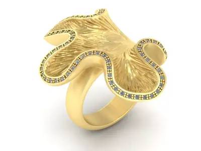 Ring Iris 3D print model