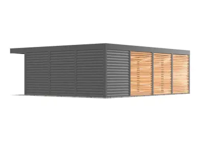 Canopy 010 3D model
