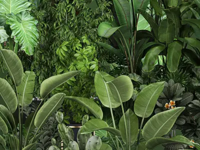 Collection of plants of 20 pieces SET 3 NEW 3D model