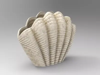 Seashell Vase Low-poly 3D model
