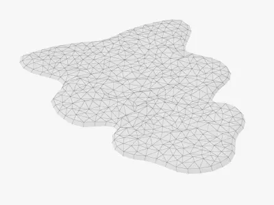 Sheepskin Rug 3D model