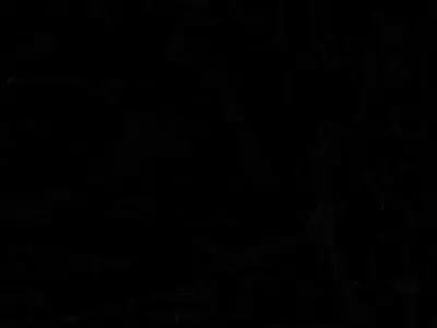 Realistic 3D Printed Chameleon Model on Branch 3D print model