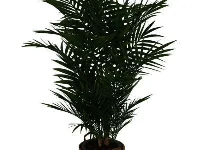 POTTED PLANT 3D model