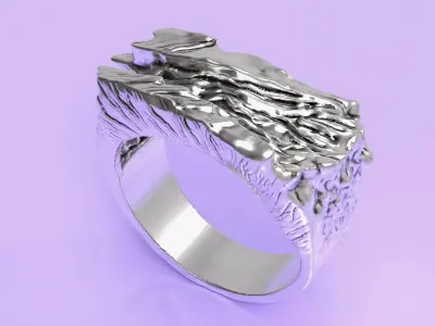 ring rock 3D print model