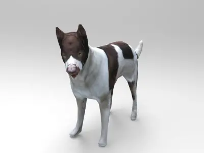 3D Dog animated low poly 3d  Low-poly 3D model