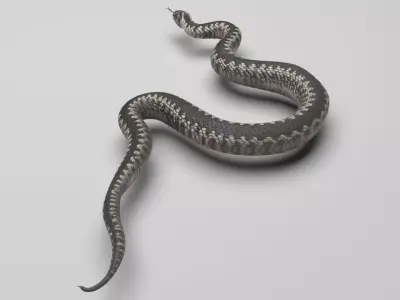 Snake 3D model