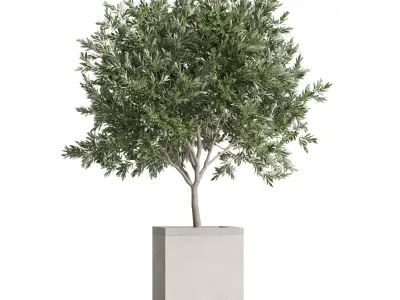 Plants collection 769 3D model