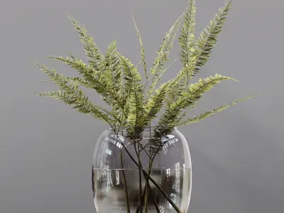 Collection Indoor Plants 03 3D model