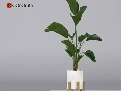 vase 01 Free 3D model purchase