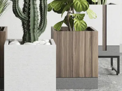 Indoor plant wooden and concrete dirt vase bax pot palm cactus 3D model