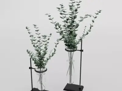 Eucalyptus In Laboratorium Jar 3D model