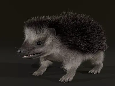 Realistic Animated Hedgehog 3D model