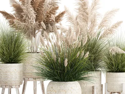 Ornamental plants in white rattan baskets 1080 3D model