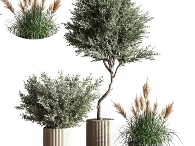 IndoorSetPlant41 two palm plants in pot 3D model