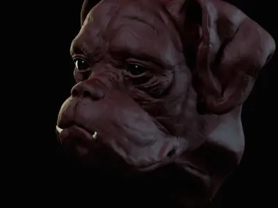 Boxer 3D model purchase