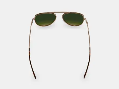 Belmar Sunglasses in Polished Gold 3D model