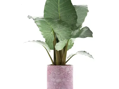 Plants Collection 82 3D model