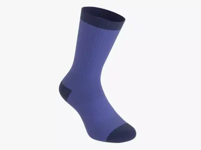 Long sport sock 3D model