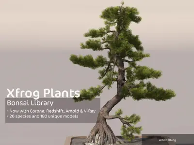 2020 XfrogPlants Bonsai Library  3D model