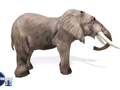 Elephant Rigged Animated Lowpoly 3d model Low-poly 3D model