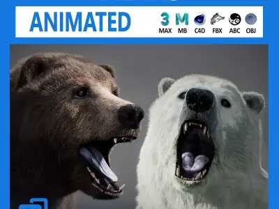 Animated Bears Pack 3D model