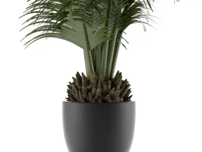 House Plant 30 3D model