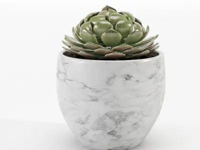 Decorative Vase  431 002 3D model