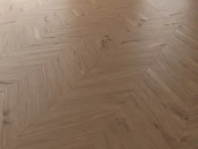  Parquet Oak Vergne Wild Wood set 4 3D model