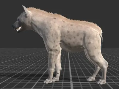 Hyena  Low-poly 3D model