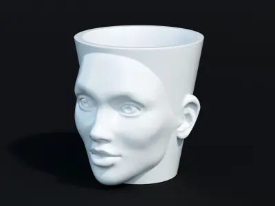 Flowers pot with face 3D print model