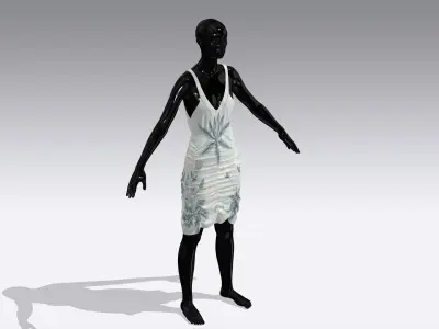 Woman Cloth Dress Low-poly 3D model