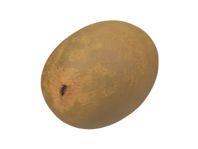 Photorealistic Kiwi 3D Scan 3D model