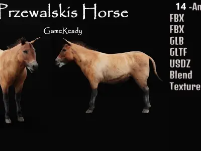 Mongolian Przewalski Wild Horse 3D model
