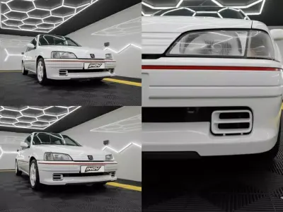 Peugeot 106 Rallye bumper grills 3D print model